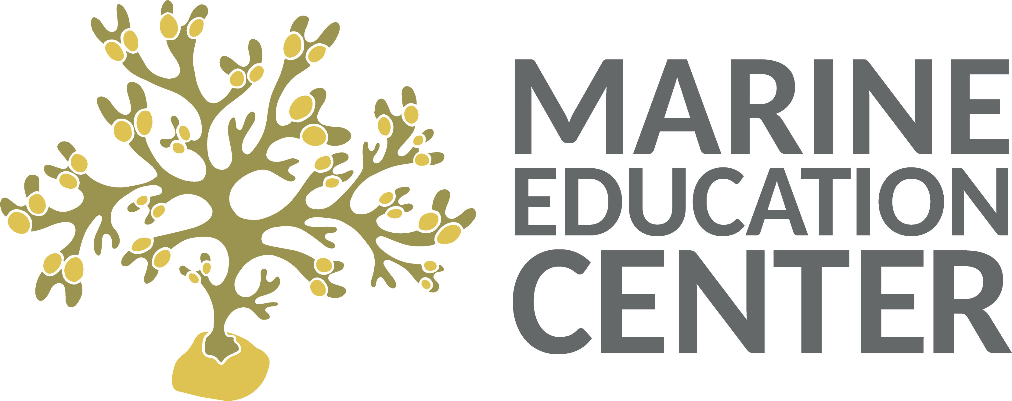 Marine Education Center in Malmö